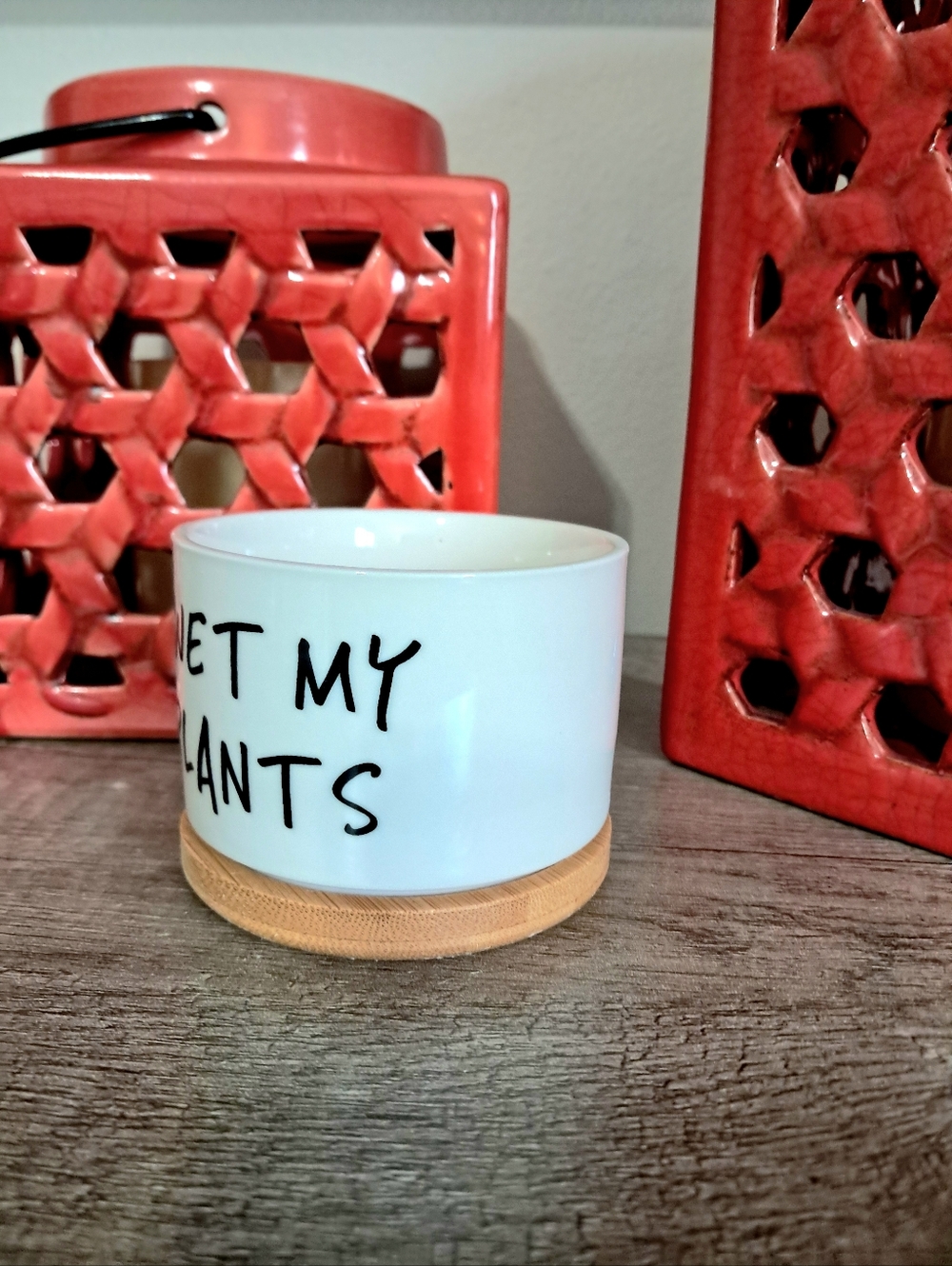 I Wet My Plants Ceramic Planter with Bamboo Tray - Picture 2 of 3